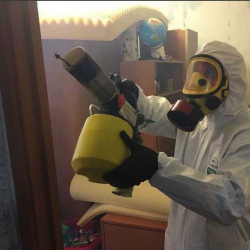 Уничтожение клопов в квартире. Посёлок имени Морозова